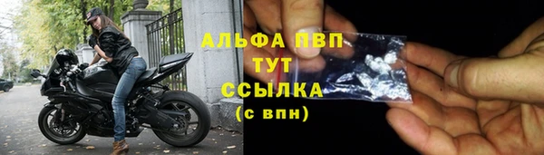 стаф Покачи
