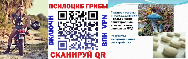 Псилоцибиновые грибы Cubensis  Кяхта 